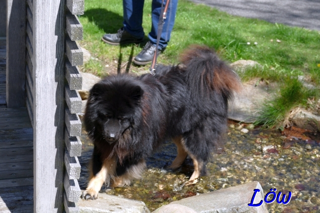 20.4.2025 - Wo geht das Wasser hin?